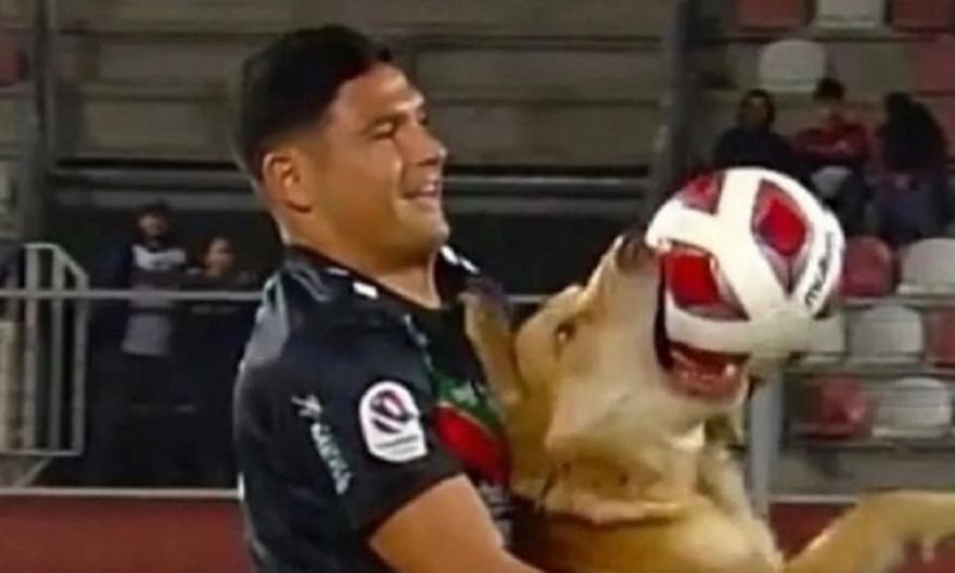 Χιλή: Σκύλος εισέβαλε στον αγωνιστικό χώρο