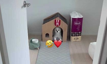 Ενθουσιασμένος με Ολυμπιακό ο Χουάνγκ: «Ερυθρόλευκο» λάβαρο στο σπιτάκι του σκύλου του!