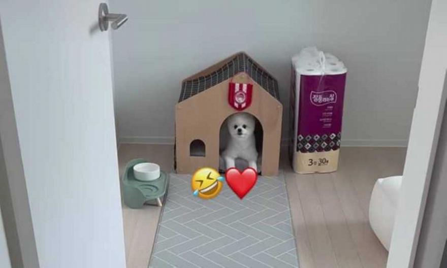 Ενθουσιασμένος με Ολυμπιακό ο Χουάνγκ: «Ερυθρόλευκο» λάβαρο στο σπιτάκι του σκύλου του!