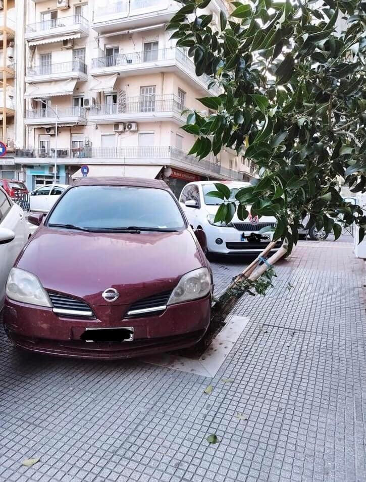 Θεσσαλονίκη: Οδηγός πάρκαρε... πάνω σε δέντρο