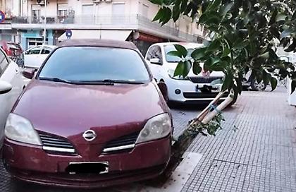 Θεσσαλονίκη: Οδηγός πάρκαρε... πάνω σε δέντρο – Μήνυση από τον δήμο