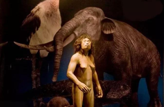 Κι όμως τα «Χόμπιτ» υπήρξαν: Ποιος είναι Homo floresiensis