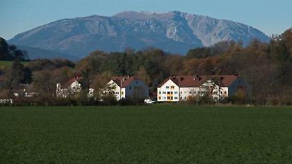 Παναθηναϊκός - Αυστρία: Εδώ θα χτιστεί το «τριφύλλι»