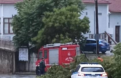 Φλώρινα: Πτώση δέντρου σε κεντρική οδό λόγω έντονων καιρικών φαινομένων