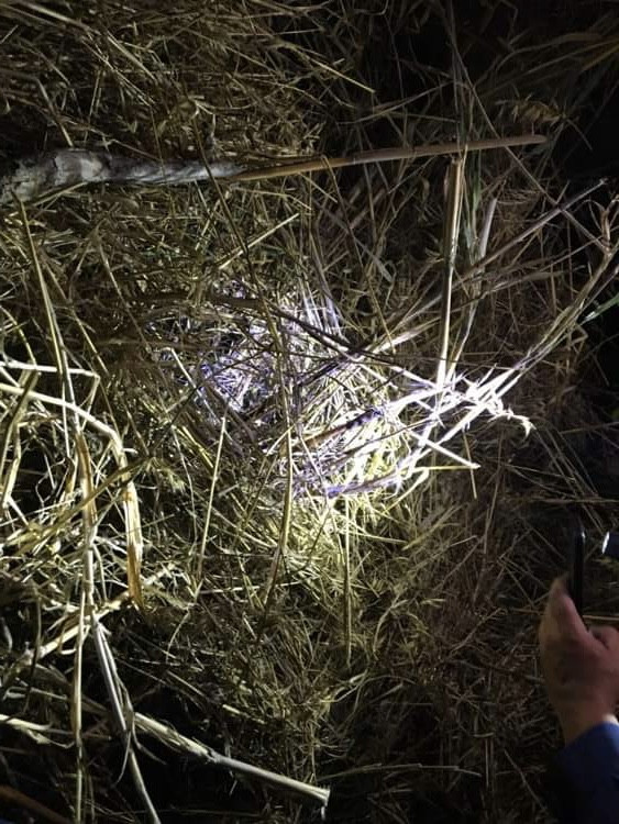 Κως: Εκεί εντοπίστηκε η σορός της 27χρονης