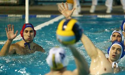 Παρέμειναν στον Πανιώνιο Κοπελιάδης, Λιμαράκης