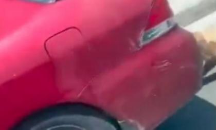 Συνελήφθη ο άνδρας που έσερνε σκύλο με το αυτοκίνητο στη Ζάκυνθο