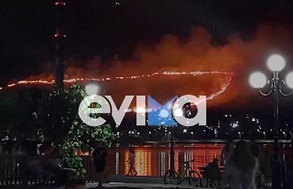 Μάχη με τις φλόγες στο Μηλάκι Ευβοίας - Η φωτιά κατευθύνεται προς το εργοστάσιο της ΑΓΕΤ
