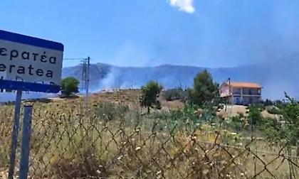 Φωτιά στην Κερατέα: Συνελήφθη ένας άνδρας για εμπρησμό από αμέλεια