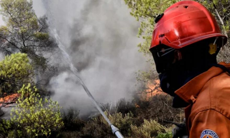 Πυροσβεστική: 33 δασικές πυρκαγιές το τελευταίο 24ωρο