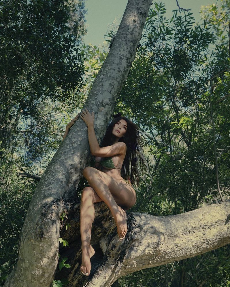 Μέγκαν Φοξ: Αποκαλυπτική με μπικίνι πάνω σε δέντρο