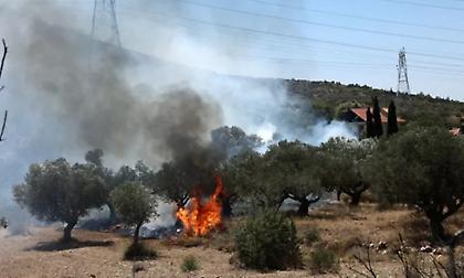 Διακοπή κυκλοφορίας στη Λεωφόρο Αναβύσσου λόγω της πυρκαγιάς στο Κουβαρά Αττικής