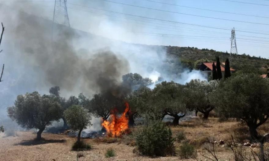 Φωτιά Κουβαρά: Διακοπή κυκλοφορίας στη Λεωφόρο Αναβύσσου