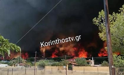Λουτράκι: Στα πρώτα σπίτια οι φλόγες - Μήνυμα 112 για εκκένωση οικισμών - Εκκενώνεται γηροκομείο
