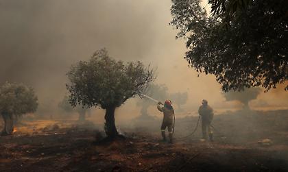 Πυρκαγιές: Μάχη με τις αναζωπυρώσεις σε Δυτική Αττική και Ρόδο