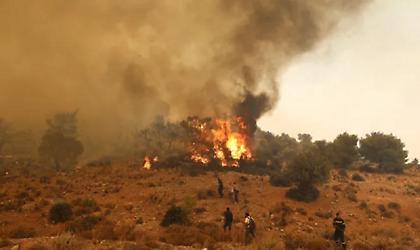 Συναγερμός στην Πυροσβεστική - Φωτιά στην Κάρυστο