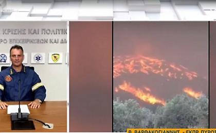 Εκπρόσωπος Πυροσβεστικής: Αναζωπυρώσεις στην πυρκαγιά της Λακωνίας