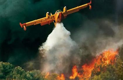 Πυρκαγιά σε δασική έκταση στην Αγία Τριάδα Μεσσηνίας - Καίει κοντά σε οικισμούς!