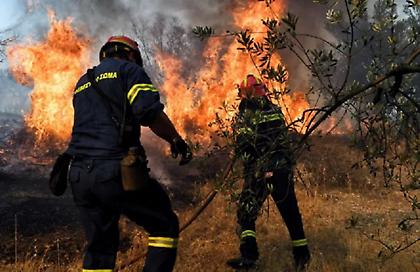 Νύχτα αγωνίας στην Κάρυστο: Σε πλήρη εξέλιξη η πύρινη κόλαση – Μάχη χωρίς τα εναέρια μέσα
