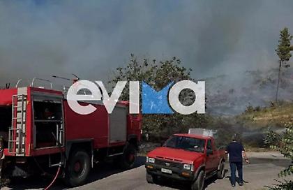 Νέα φωτιά στην Εύβοια στο Κοντοδεσπότι