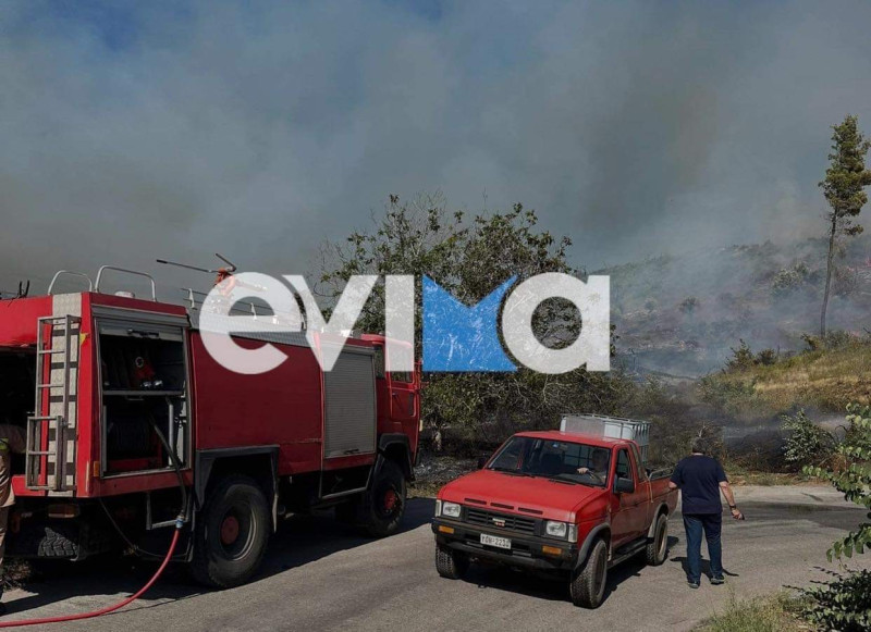 Εύβοια: Νέα φωτιά στο Κοντοδεσπότι