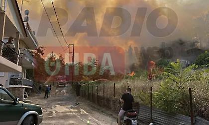 Πυρκαγιά στη Θήβα κοντά σε κατοικημένη περιοχή