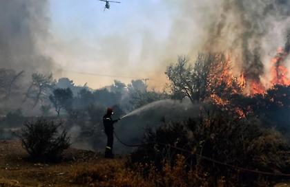 Εμπρησμό καταγγέλλει δήμαρχος της Κέρκυρας - Η φωτιά εκδηλώθηκε σε τρία διαφορετικά σημεία