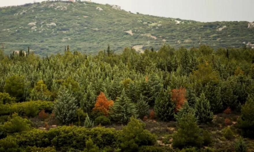 Θεσσαλονίκη: Πρόστιμο σε άνδρα πέταξε τσιγάρο στο Σέιχ-Σου