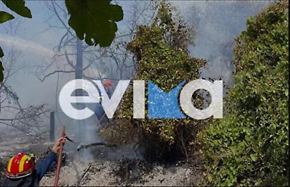 Υπό μερικό έλεγχο η φωτιά στην Κύμη Ευβοίας