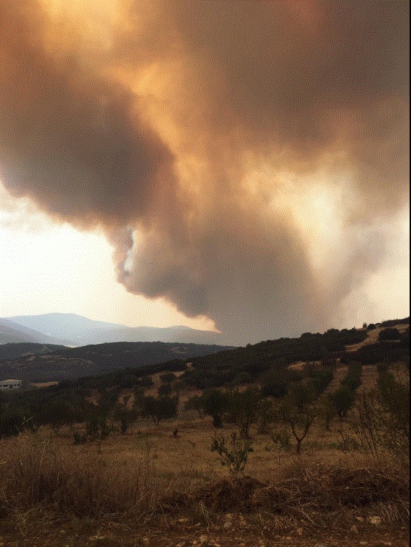 Μαγνησία:Μεγάλη πυρκαγιά σε Βελεστίνο, Σέσκλο, Άγιο Γεώργιο