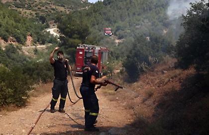 Πυρκαγιά σε δάσος στην Καστοριά