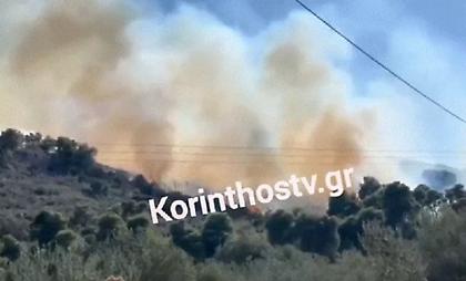 Πυρκαγιά σε αγροτοδασική έκταση στην περιοχή Μαψός Κορινθίας - Σηκώθηκαν και εναέρια μέσα