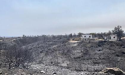 Φωτιά στη Ρόδο: Ασύλληπτη καταστροφή - Κάηκαν 206.610 στρέμματα