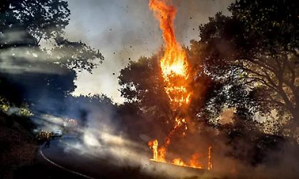 Πυρκαγιά σε δασική έκταση στα Διευχά Χίου - Μήνυμα απο το 112