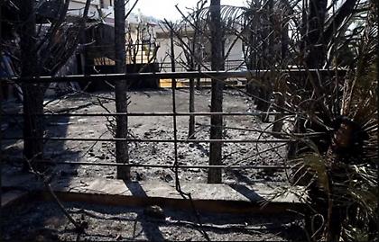 Τριαντόπουλος: Ανοίγει άμεσα η πλατφόρμα για αρωγή στους πυρόπληκτους