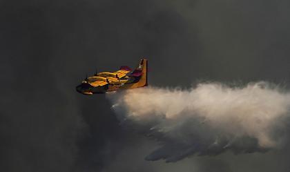 Φωτιά σε δασική έκταση στα Φάρσαλα