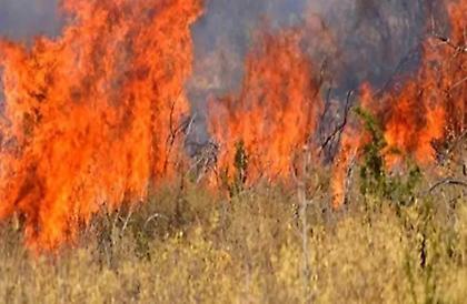 Ποινική δίωξη για εμπρησμό από πρόθεση στον 88χρονο που συνελήφθη στον Άγιο Στέφανο