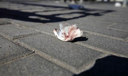 Ολυμπιακός: «Συλλυπητήρια στην οικογένεια - Όλοι μαζί μπορούμε να σταματήσουμε αυτά τα φαινόμενα»