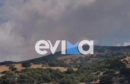Φωτιά σε χαμηλή βλάστηση στα Ρούκλια Εύβοιας - «Σηκώθηκε» ελικόπτερο
