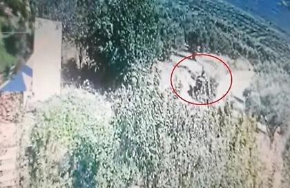 Βίντεο-ντοκουμέντο: Η στιγμή που 70χρονος εμπρηστής κατά συρροή βάζει φωτιά στη Γόρτυνα
