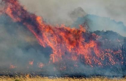 Μαίνεται η πυρκαγιά στην Κεφαλονιά στην Αγία Ειρήνη - Δεν απειλεί κατοικημένη περιοχή