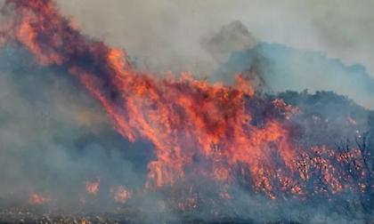 Πυρκαγιά στην Αγία Ειρήνη της Κεφαλονιάς-Δεν απειλεί κατοικημένη περιοχή