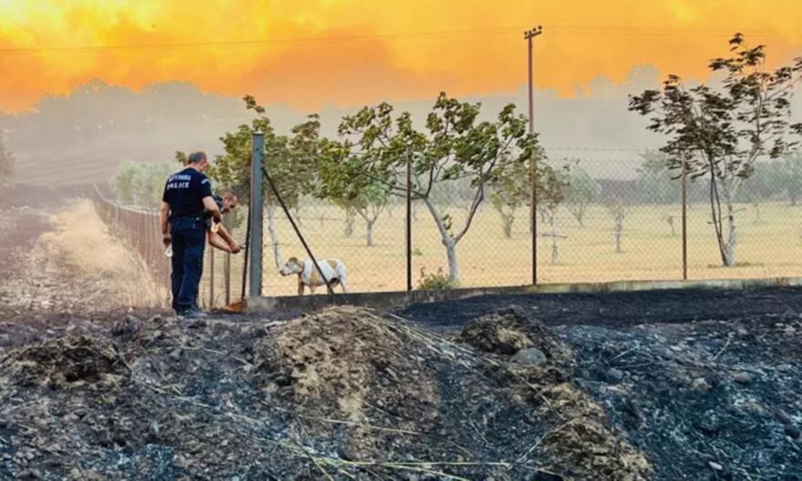 Αλεξανδρούπολη: Η ΕΛΑΣ συνδράμει στη μάχη με τις φλόγες