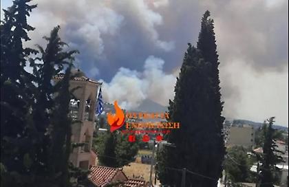 Φωτιά στα Ψαχνά Ευβοίας: Οι φλόγες απειλούν τα πρώτα σπίτια - Μήνυμα εκκένωσης από το 112