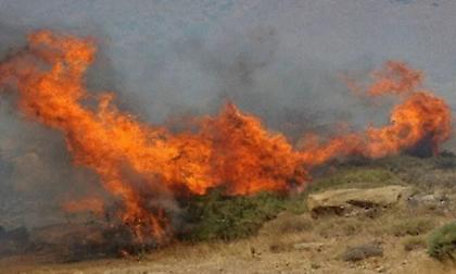 Φωτιά στην Εύβοια: Καίει ξερά χόρτα στα Ψαχνά