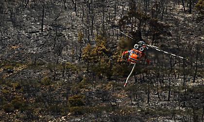 Ανείπωτη τραγωδία: Απανθρακωμένοι βρέθηκαν μετανάστες στο δάσος της Δαδιάς