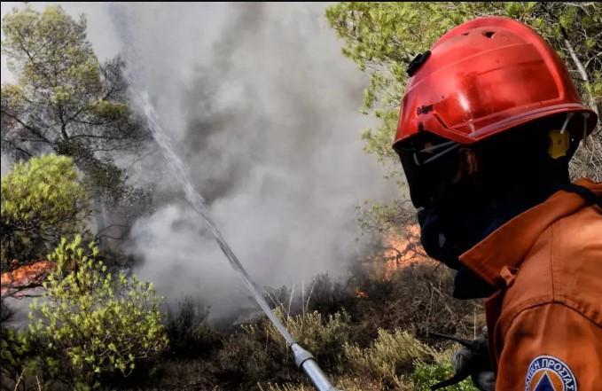 Φωτιές: Αναζωπύρωση στα Βάγια Βοιωτίας