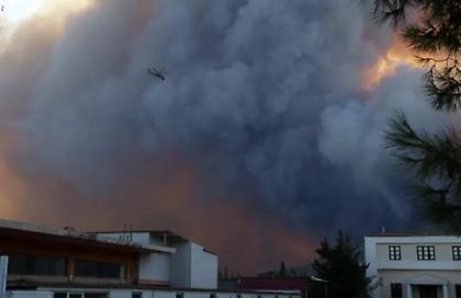 Πύρινη κόλαση στη Φυλή: Η φωτιά έσπασε σε δύο μέτωπα - Αγωνία να μην φτάσει στον δρυμό της Πάρνηθας