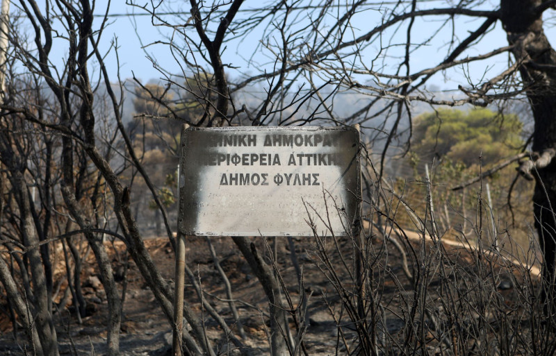 Εικόνες καταστροφής στη Φυλή: Καμένα σπίτια, αυτοκίνητα