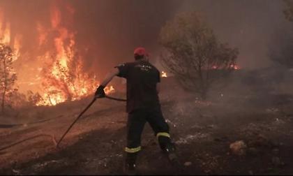 Πυρκαγιά στον Γαλατά Ναυπακτίας